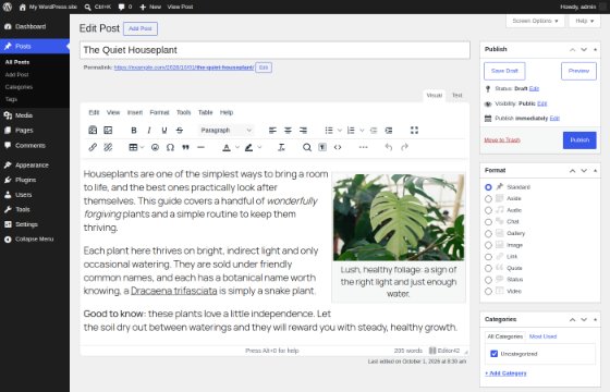 The WordPress classic editing screen with Editor42: the menubar, two toolbar rows and a post with a captioned picture